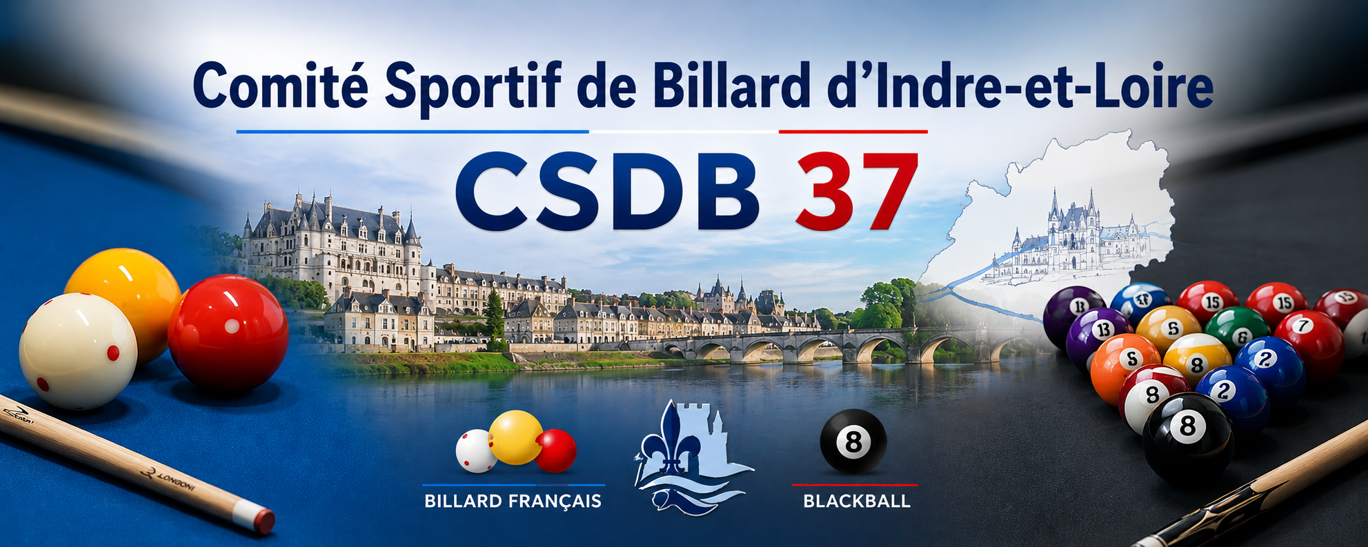 Comité Sportif Départemental de Billard d'Indre-et-Loire